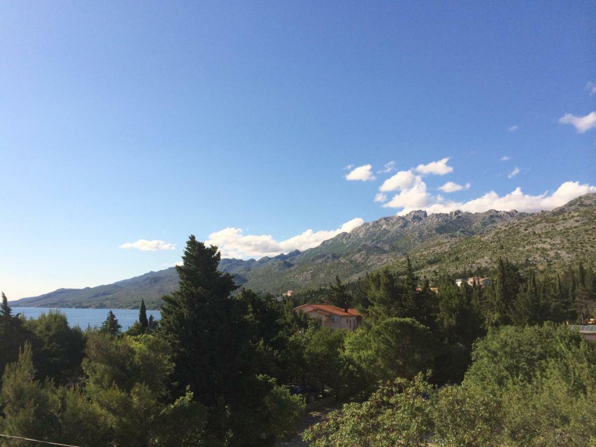 Apartments Villa Jusup Starigrad Paklenica Exteriér fotografie